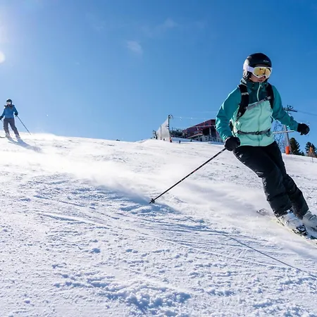 Les 3 Chevreuils L In-out L Parking L By Cosyhome